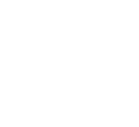 Principal C Negativo e1769400091710